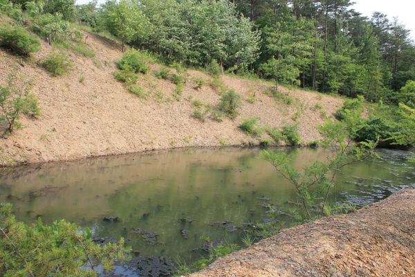 Cost of Pond Erosion Repair in Stow