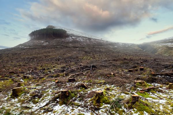 Cost of Hill Removal in Stow